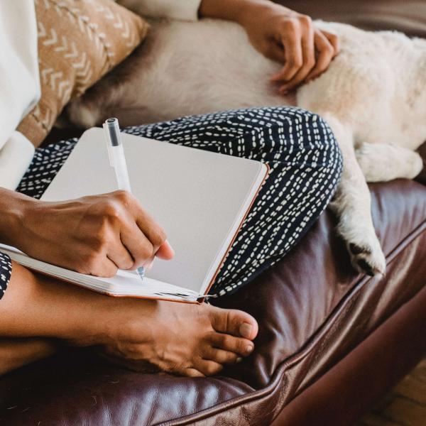 View of a person's arms and legs next to a dog. The person is sitting cross-legged.